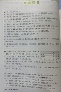 高等学校生物基礎が得意な方いましたら 解答していただけると幸 Yahoo 知恵袋