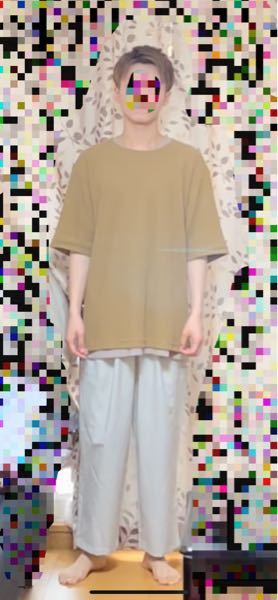 スタイル悪いでしょうか 悪くないと思うんですけど 服が似合 Yahoo 知恵袋