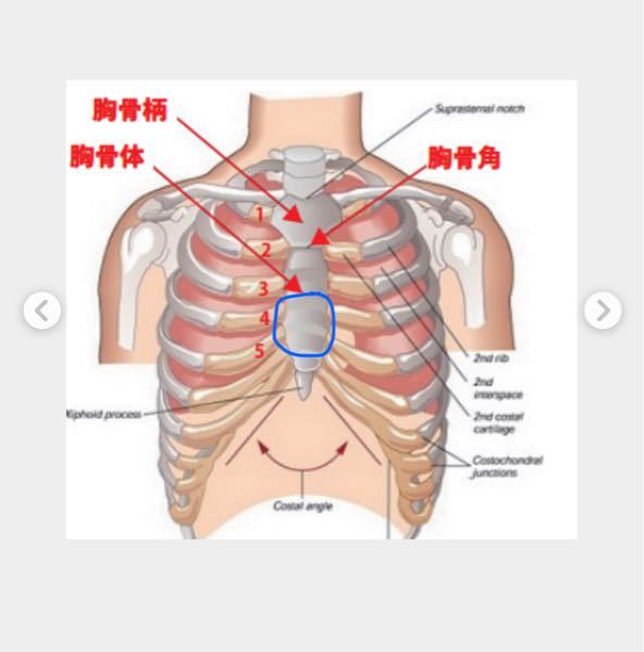 2日前に気付いたのですが 胸の真ん中の骨が出っ張っていて 押すと痛いで Yahoo 知恵袋