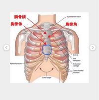 2日前に気付いたのですが 胸の真ん中の骨が出っ張っていて 押すと痛いで Yahoo 知恵袋