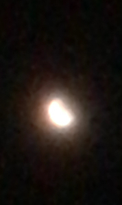 皆既月食の今日、21:38に撮ったのですが、これって通常よりも少しピンクでしょうか。
赤くなるのは20:09から二十分くらいだった気がします。 残念ながら曇っていて20:00から21:35まで月が見れませんでした。