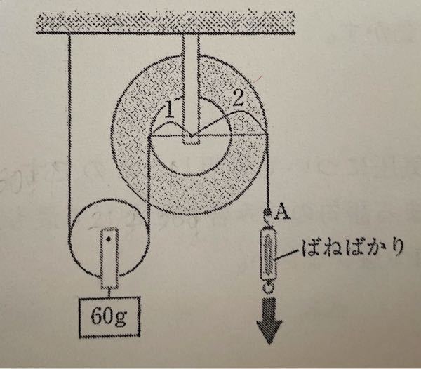 中学理科動滑車の問題です 回答はばねばかりの値 g Yahoo 知恵袋
