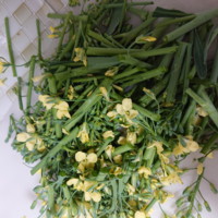 ステッイクセニョール茎ブロッコリーを育ててます 花が咲いたら終わりと Yahoo 知恵袋