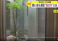 中庭がある家にお住いの方へお伺いをいたします 中庭は住宅の中にある小さい庭なの 教えて 住まいの先生 Yahoo 不動産