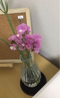 この花の名前わかる方いらっしゃいますか 買った時に確か Yahoo 知恵袋