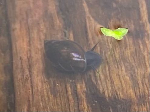 アクアリウムに詳しい方にアドバイスを頂きたいです いい水槽台 Yahoo 知恵袋