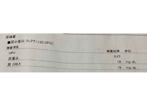 猫の尿検査の結果なのですが、この蛋白とクレアチニンの数値の見方を 