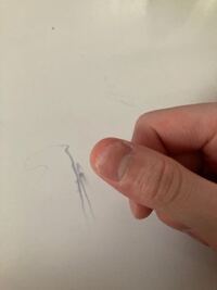 爪のピンク色の部分が割れたとしても 元に戻るのでしょうか 専門家ではな Yahoo 知恵袋