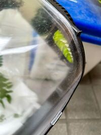 アゲハ蝶の幼虫が プラスチックケースの蓋の曲がった所で蛹になろうとして Yahoo 知恵袋