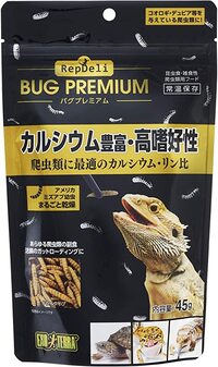 2日3日ほど前にカナヘビを捕まえて飼育し始めたのですが なか Yahoo 知恵袋