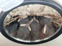 18と27公約数について教えてください よろしくお願いします 18 3 Yahoo 知恵袋