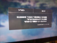 Pso2ngs ファンタシースターオンラインニュージェネシス Yahoo 知恵袋