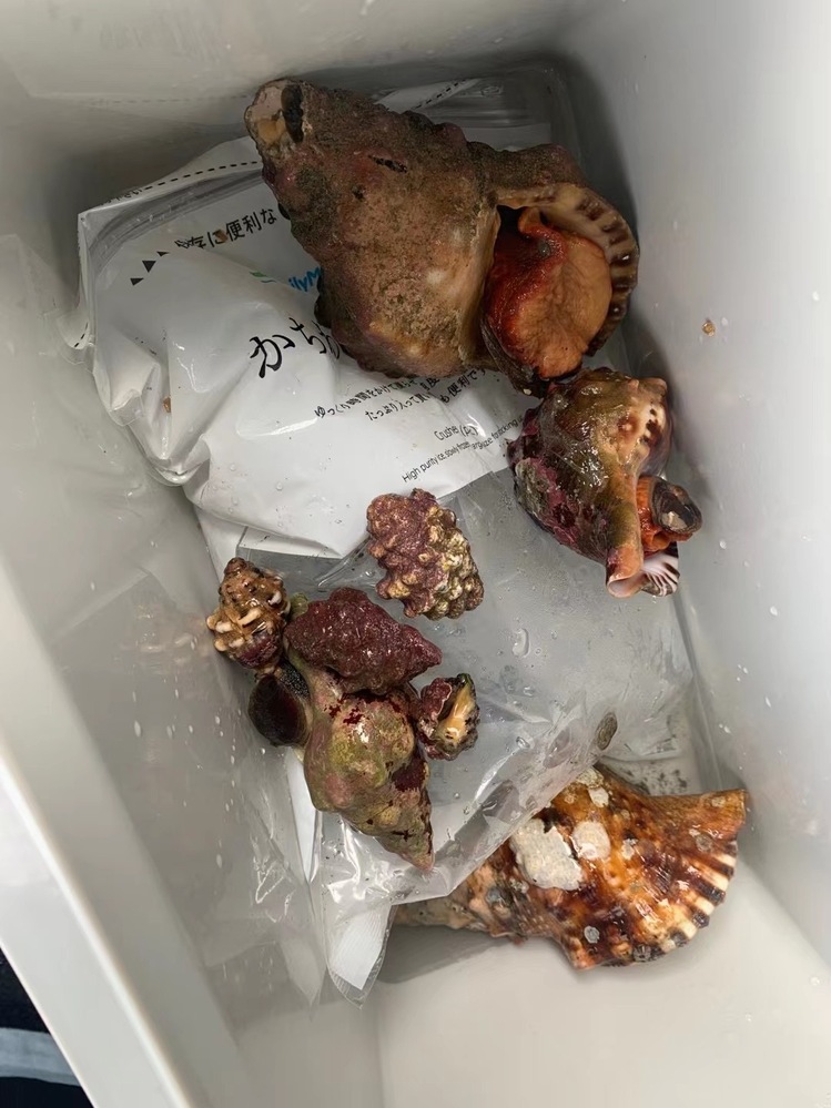 フルーツグラノーラの食べ方 グラノーラが好きでよく食べますがカロリー Yahoo 知恵袋