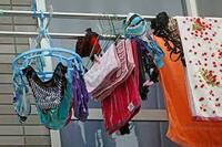 女性に質問 洗濯物干す際 下着をどうやって干すとかを気にしま Yahoo 知恵袋