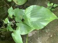 Twitterでみる対戦よろしくお願いしますってどういう意味なん Yahoo 知恵袋