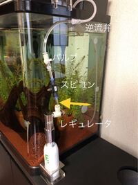 ブランドのギフト Ada 電磁弁 ガラス機材 魚用品 水草 Dluisparrilladadr Com