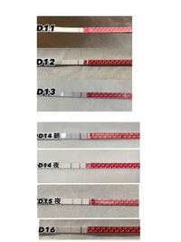 ラッキーテストの排卵検査薬についてです D14d15に Yahoo 知恵袋