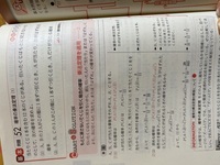 ポケモンbwのポケモン捕獲時の捕獲クリティカル みたいな現象の名前を教えてく Yahoo 知恵袋