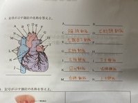 部活を退部してしまうと 高校受験の内申に響きますか 中 Yahoo 知恵袋