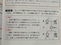 イオン式とイオン反応式の違い 以前このことについて質問した際 Yahoo 知恵袋