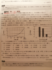 高校生物の細胞周期とｄｎａ量について この問1の 2 が分かりませ Yahoo 知恵袋