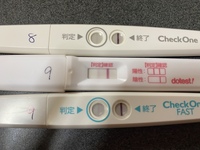 はじめまして 気になりすぎて高温期8日目と9日目に超フライングで妊娠検 Yahoo 知恵袋