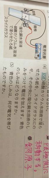 理科 教えてください イオン この問題はどんなことが問われているのか Yahoo 知恵袋