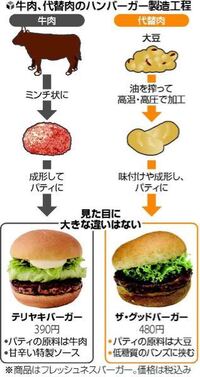 ヴィーガンて 植物100 の代用肉は食べるのですか ヴ Yahoo 知恵袋