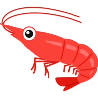 鰻は1億年以上も前から今の姿形のままで進化していないのですか マ Yahoo 知恵袋