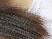 黒髪からセルフで髪を染めました そしたら見事に大失敗してしまいま Yahoo 知恵袋