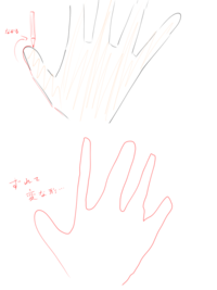 イラストを描くときのために自分の手の大きさでリアルなぬいぐる Yahoo 知恵袋