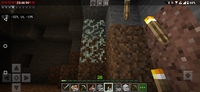 マインクラフトbedrockeditionのハチについて ハチを Yahoo 知恵袋