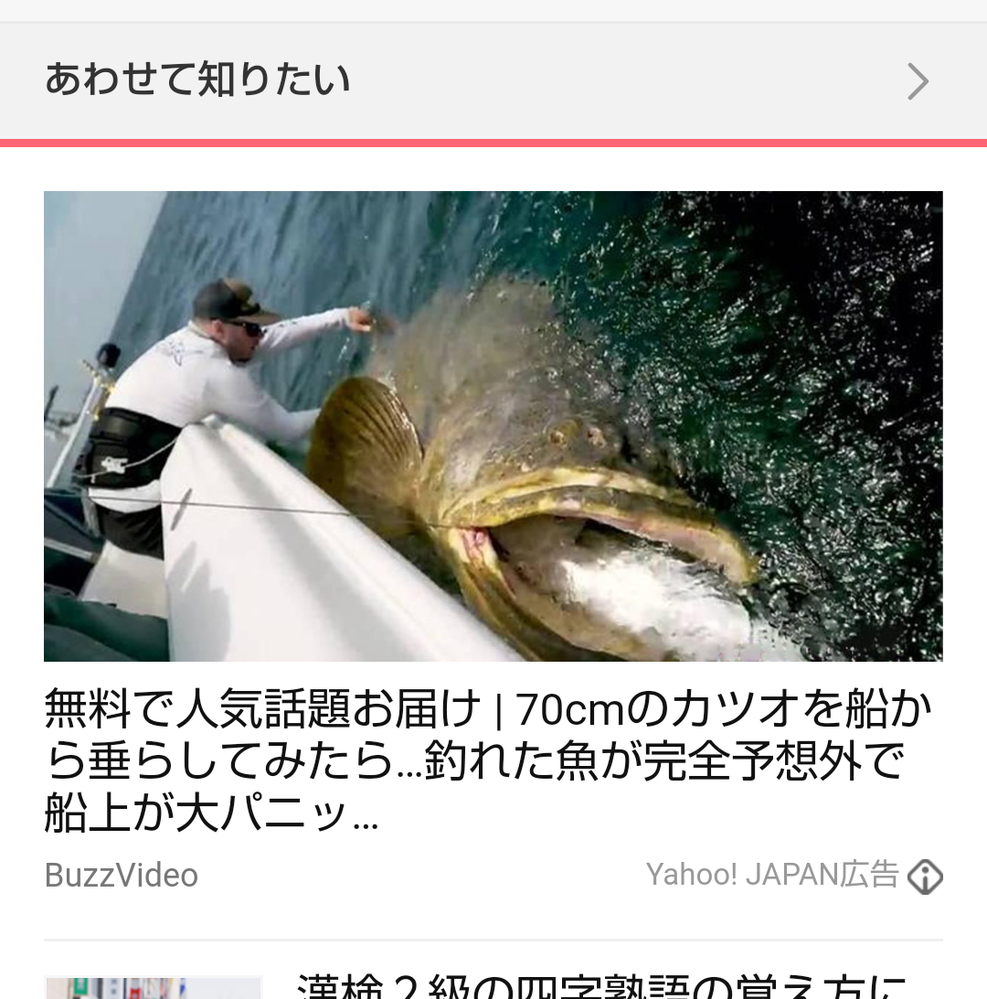 カゴ釣りで真鯛や青物を狙っている時 チヌが釣れたら持って帰りますか Yahoo 知恵袋