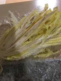 白菜の茶色 こんばんは 先程スーパーで白菜が安かったので一個買って Yahoo 知恵袋