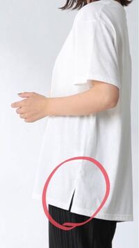 Tシャツを買いたいんですけど 横に切れ込みのあるしたが広いタイプ がい Yahoo 知恵袋