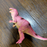 この恐竜の名前は何ですか あまり精巧には作られていませ Yahoo 知恵袋