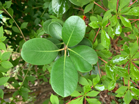 友達とその彼氏を別れさせたいです 私は 友達の彼氏にずっと片思 Yahoo 知恵袋