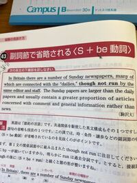 私の犬はシュナウザーとプードルのミックス犬ですを英語で言うと何になり Yahoo 知恵袋