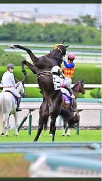 紅白歌合戦2018 Suchmosが Volt Age を披露 臭くて汚いライブハウスから来ました V系まとめ速報