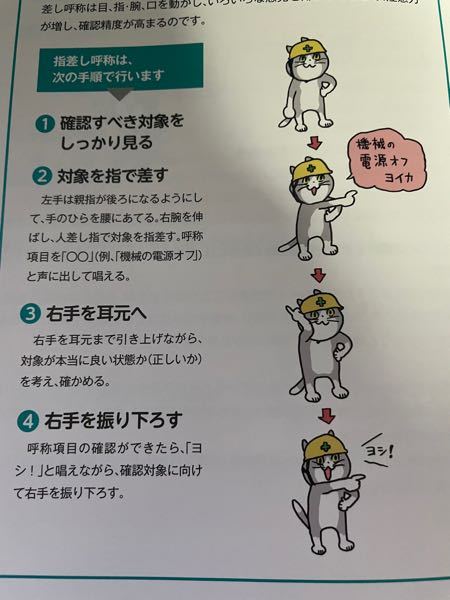 現場で働いてる方教えて下さい 現場猫の様な指差し確認や Yahoo 知恵袋