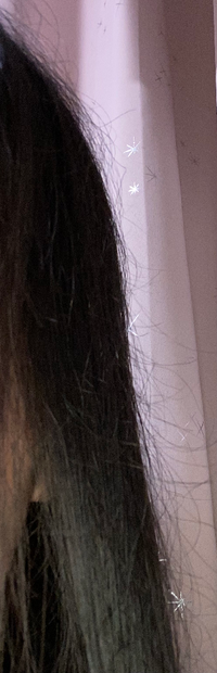 写真の様な感じで髪の毛が表面から物凄い飛び出してます 高校生 Yahoo 知恵袋