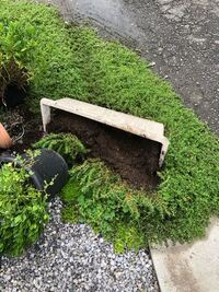 家の前のプランターが車に踏み潰されていました 同じ経験 Yahoo 知恵袋