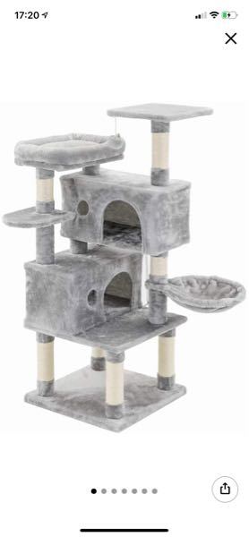 ネザーランドドワーフを飼おうと思っているのですが 飼って大変だったこと 早めに Yahoo 知恵袋