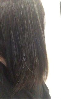 私は白髪が生まれた時からあって 今では画像のようにめっちゃ多いです こ Yahoo 知恵袋