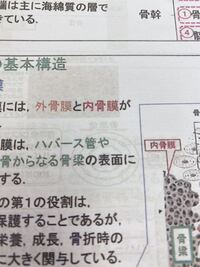 わかる方 果物 野菜 漢字で書けるもの出来るだけ教えて下さい Yahoo 知恵袋