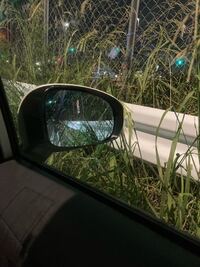 車でサイドミラーが草に当たるのでさえ 嫌がる人いません Yahoo 知恵袋