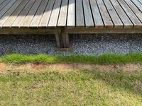 芝生について質問です 写真のようにレンガで仕切りをしてあるん Yahoo 知恵袋