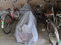 捨ててある自転車友達に言われた