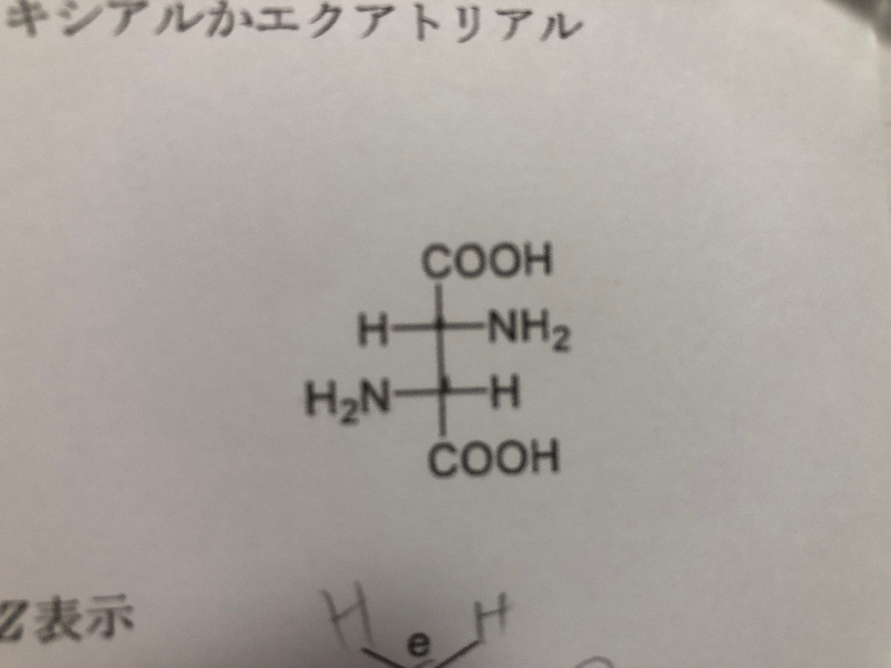 立体異性体