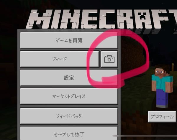 統合版マインクラフトperealmにてカメラアイコンのスクリ Yahoo 知恵袋